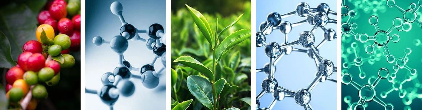 FitSpresso ingredients